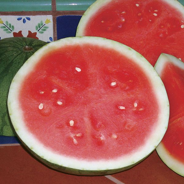 Triple Treat Hybrid Watermelon Seeds Gardenchamps